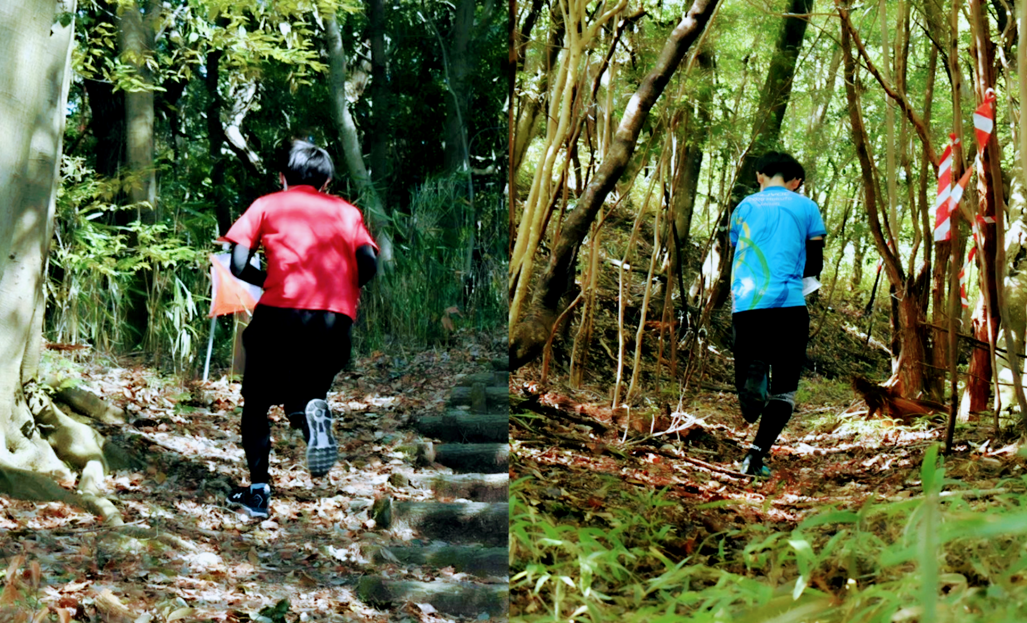 立命館大学オリエンテーリングクラブ