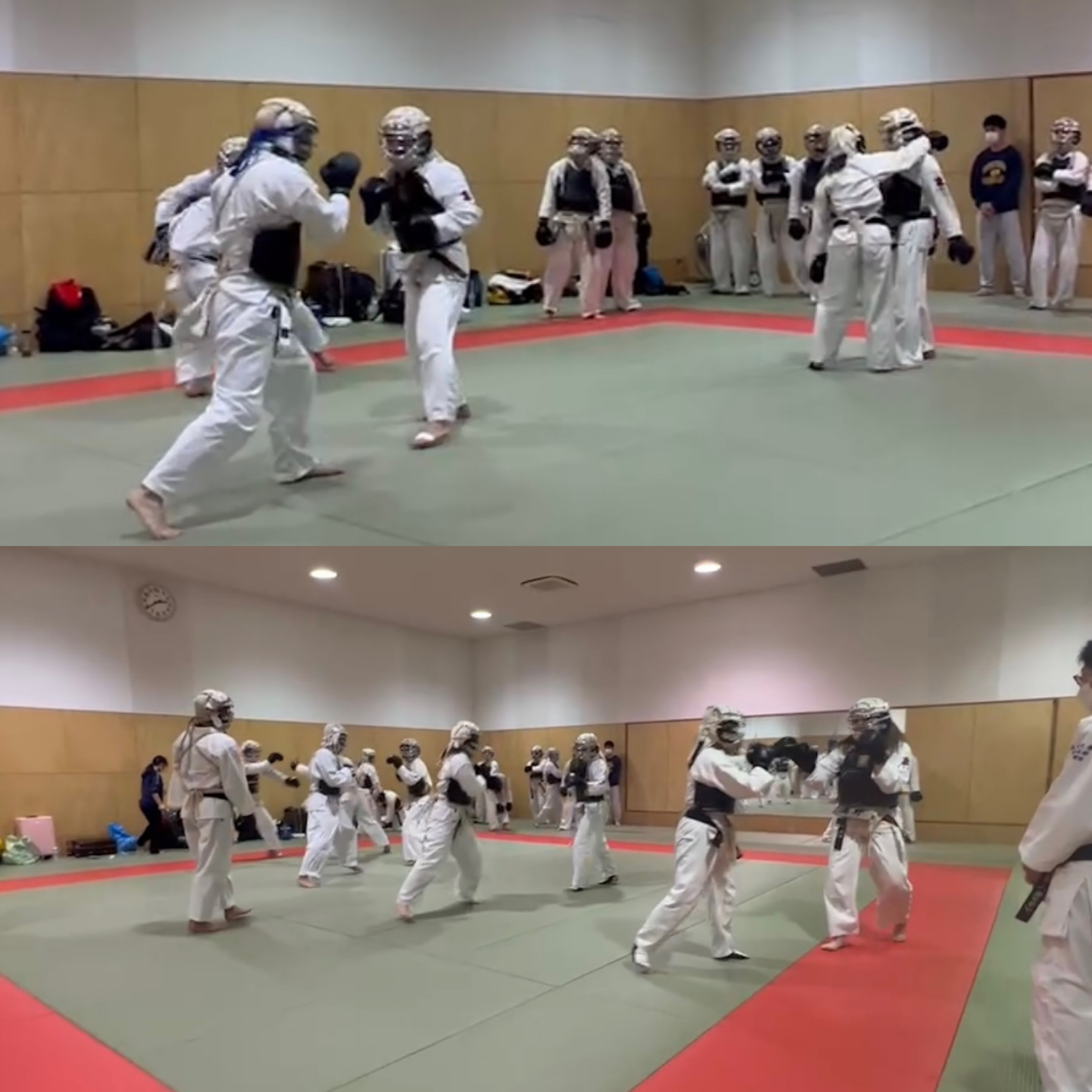 立命館大学体育会日本拳法部