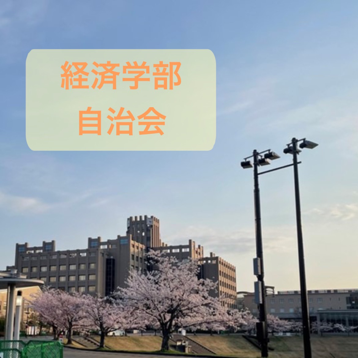 経済学部自治会