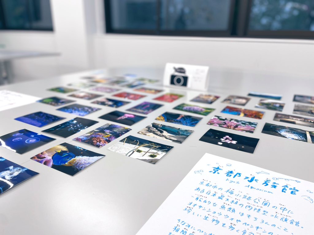 立命館大学カメラサークルゆるカメ